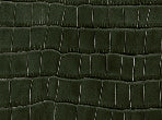 color Cocodrilo Bosque
