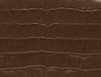 couleur Crocodile Cacao