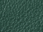 color Esmeralda
