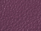 couleur Prune Profonde