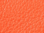 couleur Clémentine